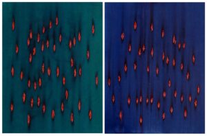 CATEDRAL. Dos piezas de 56x38, Acrílico y acuarela sobre papel.