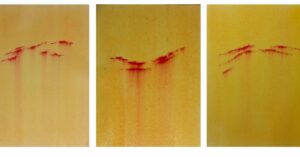 SILEANT ZHEPHIRY. Tres piezas de 20x15. Acrílico y acuarela sobre papel.